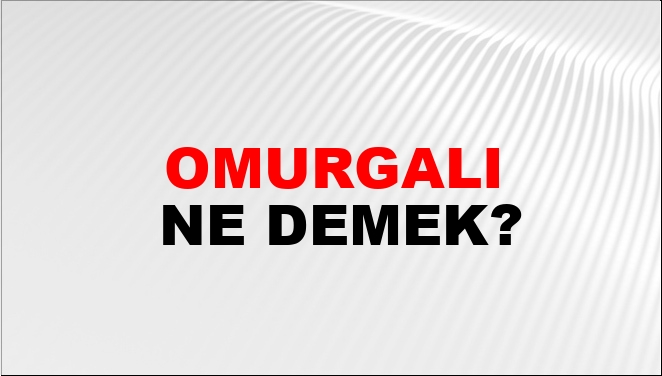 Omurgalı Omurgalı
