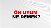 Ön Uyum