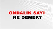 Ondalık Sayı