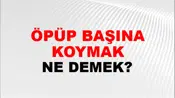 Öpüp Başına Koymak