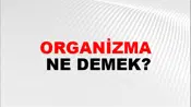 Organizma
