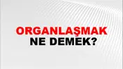 Organlaşmak