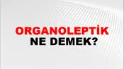 Organoleptik