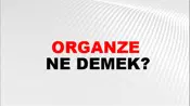 Organze