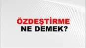 Özdeştirme