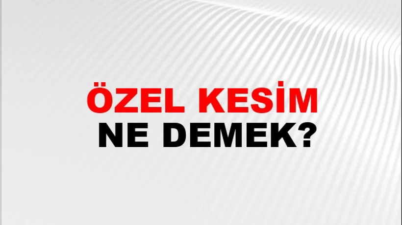 Özel Kesim Özel Kesim
