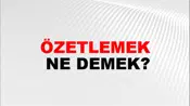 Özetlemek