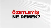 Özetleyiş