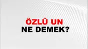 Özlü Un