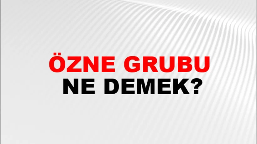 Özne Grubu Özne Grubu