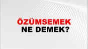 Özümsemek