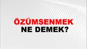Özümsenmek
