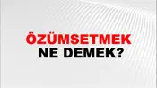 Özümsetmek