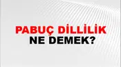 Pabuç Dillilik