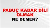 Pabuç Kadar Dili Olmak