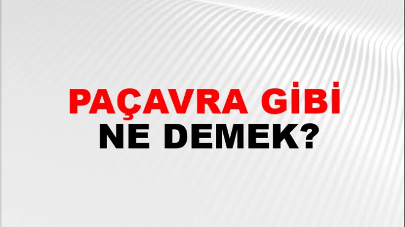 Paçavra Gibi Paçavra Gibi
