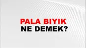 Pala Bıyık