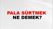 Pala Sürtmek