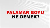 Palamar Boyu