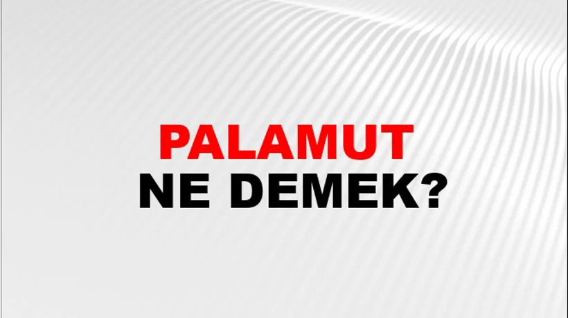 Palamut Palamut