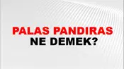 Palas Pandıras