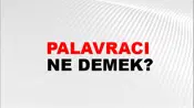 Palavracı