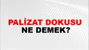 Palizat Dokusu