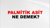 Palmitik Asit