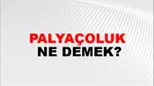 Palyaçoluk