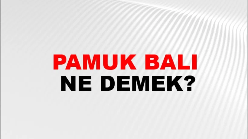 Pamuk Balı Pamuk Balı