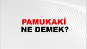 Pamukaki