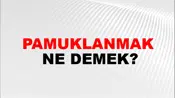 Pamuklanmak
