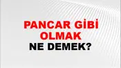 Pancar Gibi Olmak