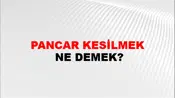 Pancar Kesilmek
