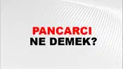 Pancarcı