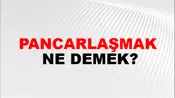 Pancarlaşmak