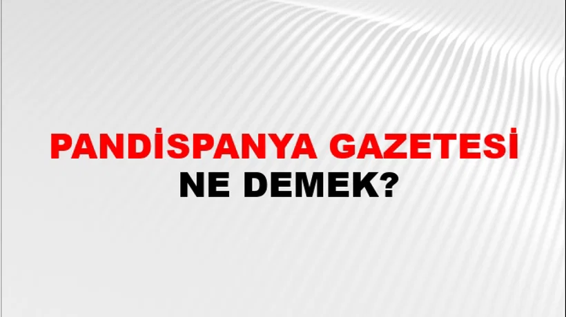 Pandispanya Gazetesi Pandispanya Gazetesi