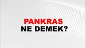 Pankras