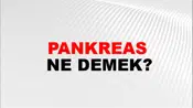 Pankreas