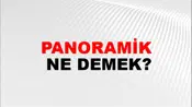 Panoramik