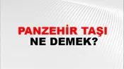 Panzehir Taşı