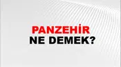 Panzehir