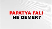 Papatya Falı