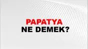 Papatya
