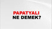 Papatyalı