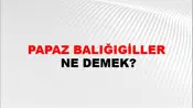 Papaz Balığıgiller