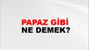 Papaz Gibi