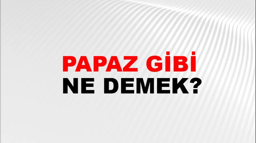 Papaz Gibi Papaz Gibi