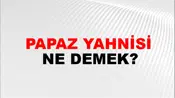 Papaz Yahnisi