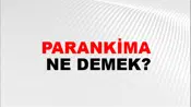 Parankima